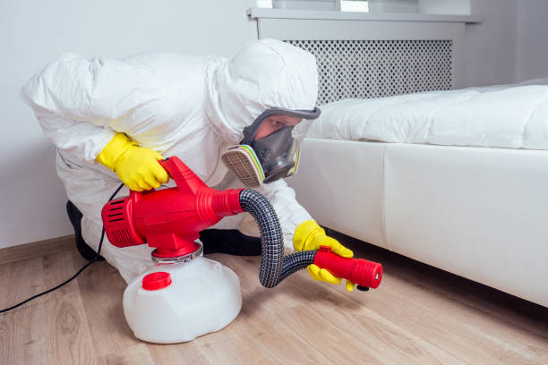 Best Commercial Pest Control Services  in Lemon Grove, CA