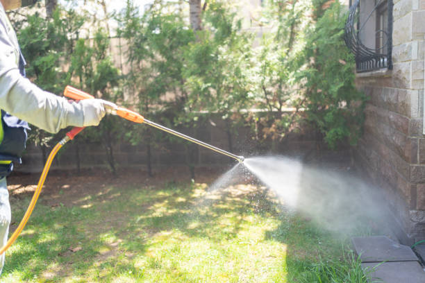 Best Affordable Pest Control Services  in Lemon Grove, CA